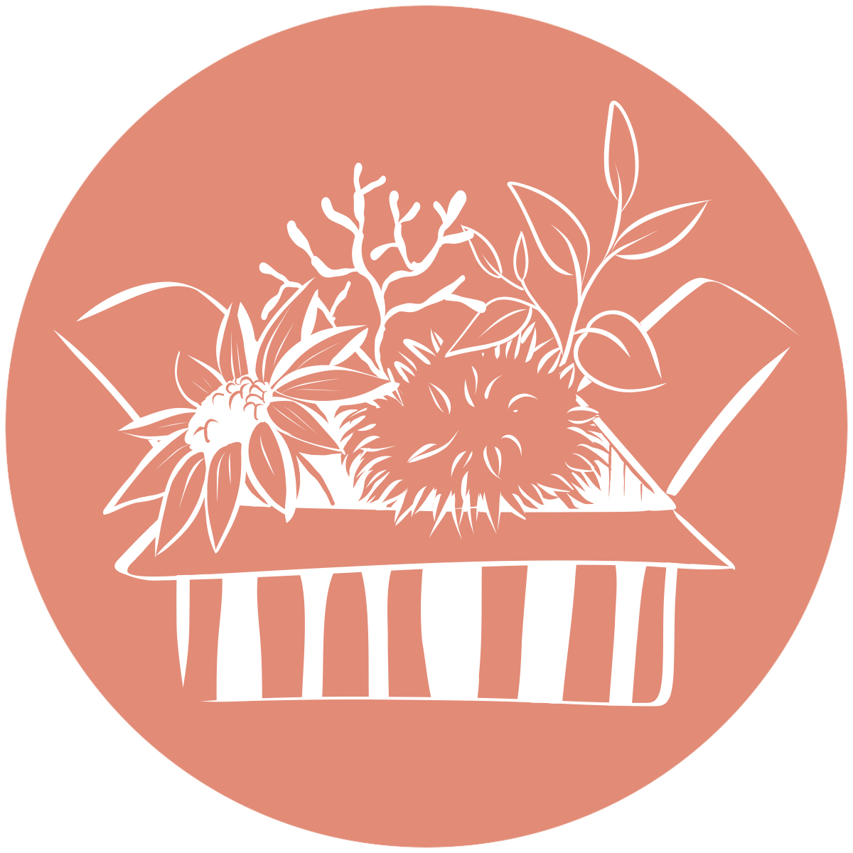 Icône terracotta clair - ILLUSTRATION DE CONTENUS